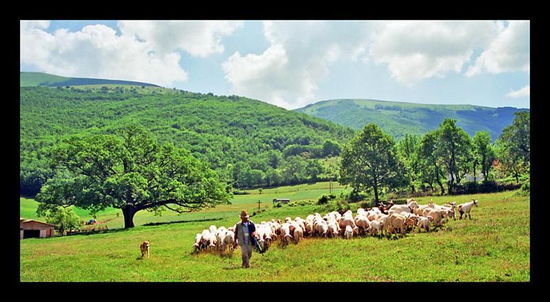 Villa Il Vigneto Norcia Esterno foto